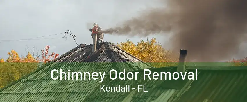 Chimney Odor Removal Kendall - FL